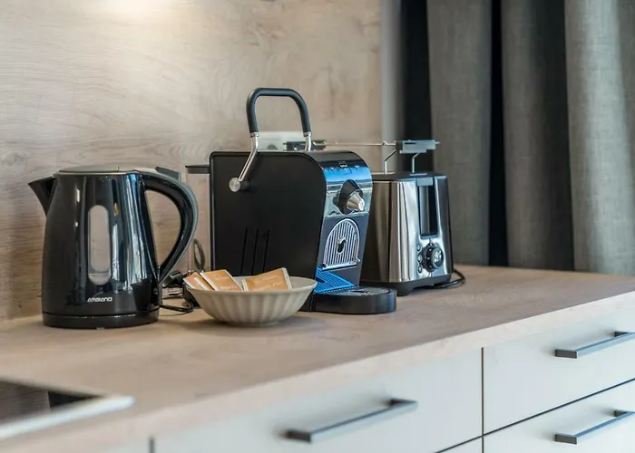 Deluxe Berglust Appartement *